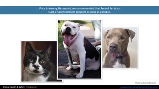 Audit of Animal Services - Enrichment 9