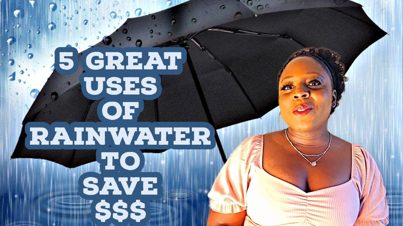 5 GREAT USES OF RAINWATER TO SAVE MONEY! $$$
