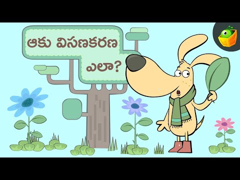 ఆకు విసణకరణ ఎలా? | How to cool down? | Charlie and Friends Stories in Telugu | | Magicbox Telugu