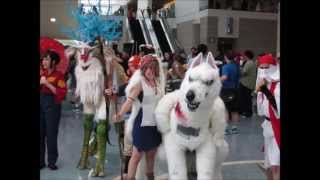 Anime Expo 2013 Slideshow - Part I