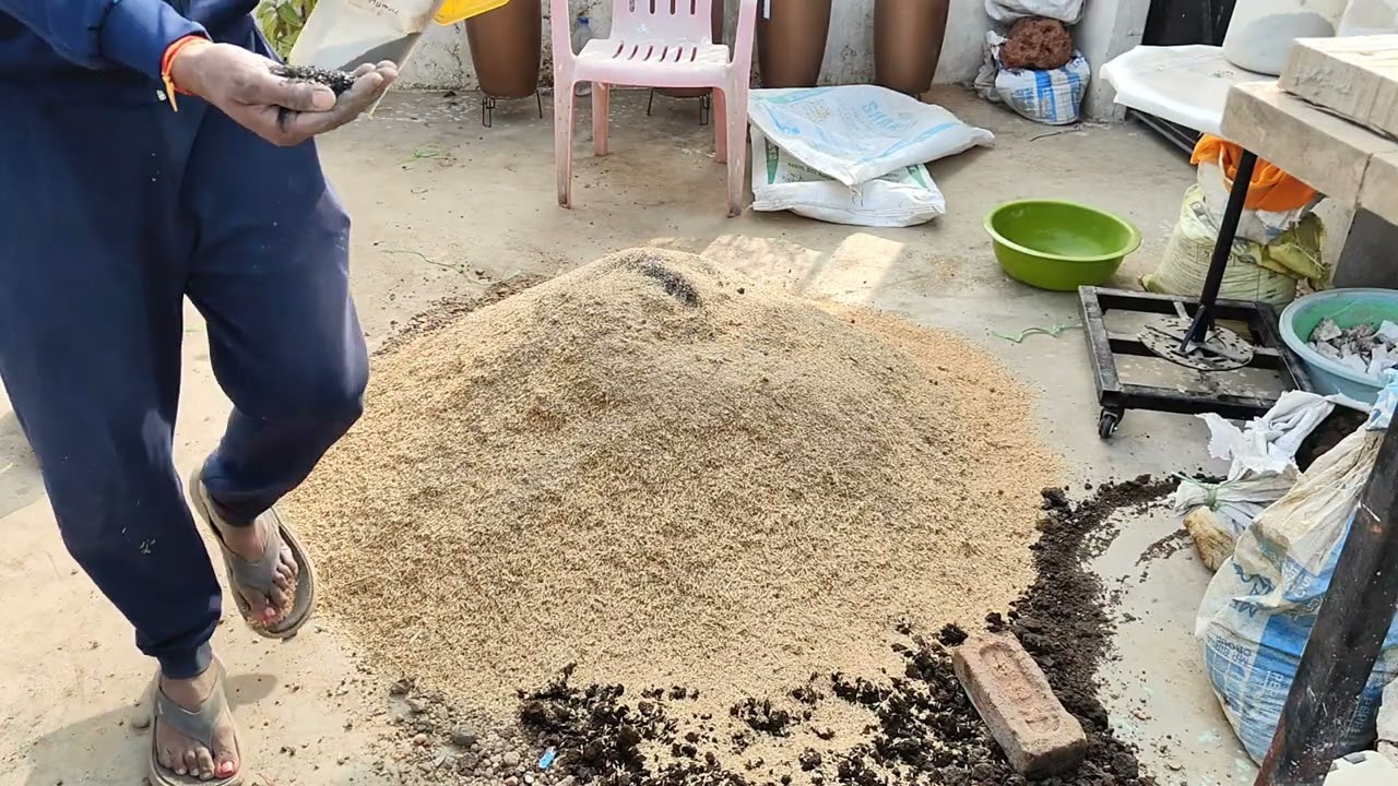 अडेनियम पोटिंग मिक्स सीक्रेट कभी नही होगा राट | एक बार ऐसा बना ले | adenium best potting mix secret