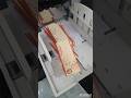 Sadi card Printing Minosha Dd2500 Quality Check Please