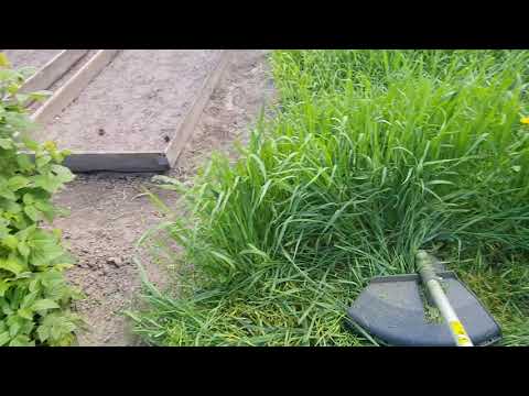 Бензиновый триммер EFCO DSH 400 T. Первое скашивание Бензиновый триммер EFCO DSH 400 T. Первое скашивание