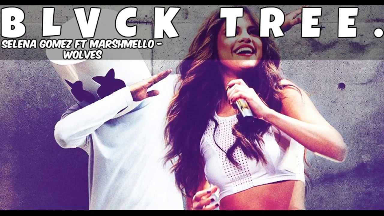 Selena Gomez, Marshmello - Wolves (Lyrics Video HQ) - YouTube