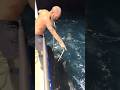 We Found a Dolphin Trapped in the Sea at Night! 🐬🌊😱のサムネイル