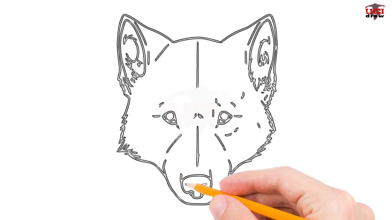 How To Draw A Wolf Head Step By Step Easy For Beginners Simple Wolves Drawing Tutorial