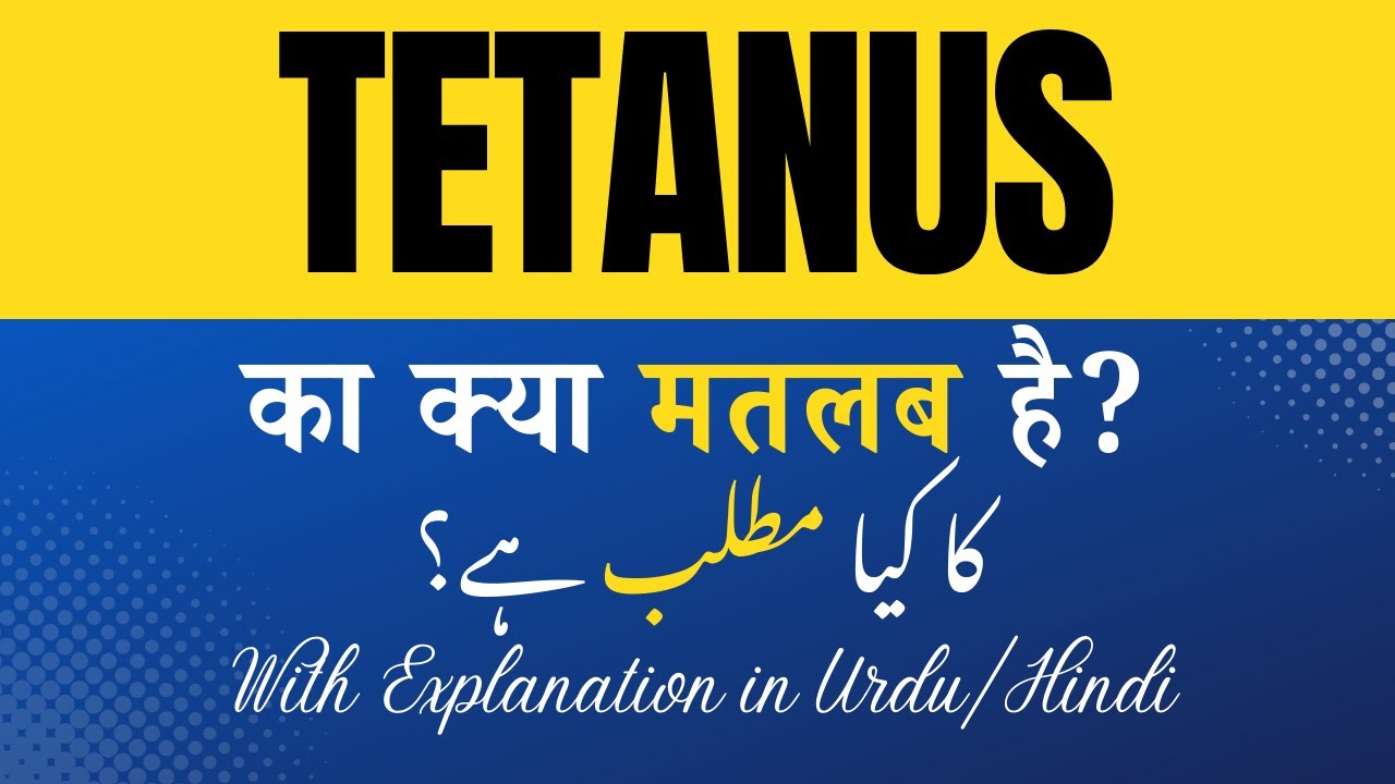 VICE REGENT MEANING IN URDU intelligence overview