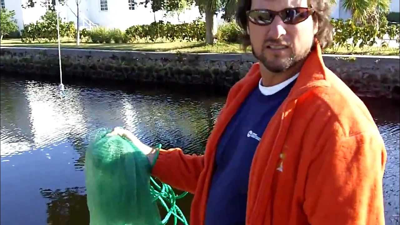 How To Throw A Cheap "Cast Net" YouTube