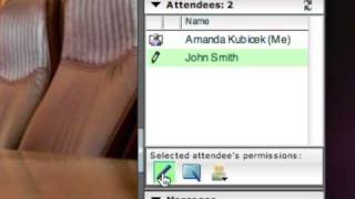 How To Grant Permissions: WebPresentNow™ One-Minute Skill Builder