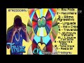 TRIZ DO GRAU - CD BREGA FUNK - 2K20