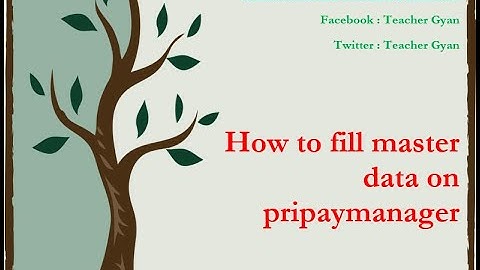 How to fill employee master data on pripaymanager