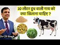 10 लीटर दूध वाली गाय को क्या खिलाना चाहिए  ? | Dairy Farm | Dr CB Singh | @Dairy Ustaad
