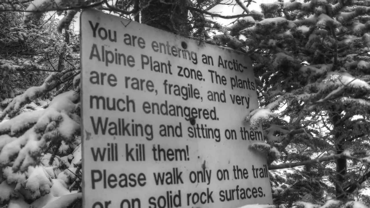 Winter in Autumn on Wright Peak