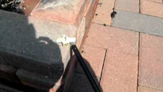 Bumble Bee / Wasp Firework