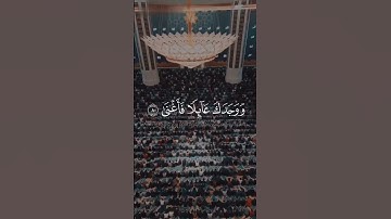 سورة الضحى | تلاوة خاشعة بصوت القارئ ماهر العقيلي 🤍