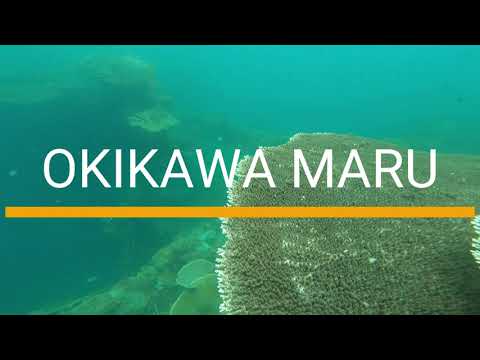 Okikawa Maru: Scuba diving at the largest and most interesting shipwreck in Coron Island