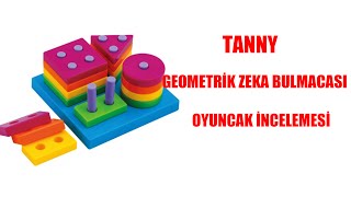 Tanny - Geometrik Zeka Bulmacası Oyuncak İncelemesi screenshot 1