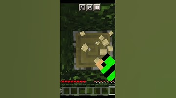 Speedrunning Random Item in Minecraft 🔥 || Minecraft Speedrun #shorts