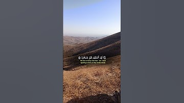 تلاوة هادئة 🎙️ الشيخ ياسر الدوسري 🎧 #اكسبلور #المصحف