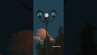 beautiful pictures #feeling #song #lovesong #nature #representationmatters #sad