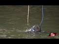 Police search for missing swimmer in the1800 block of Lakeshore Drive