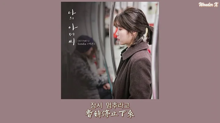 【韓中字】Sondia - 成人 / 大人 [ 我的大叔 OST Part 2 ] - 天天要聞