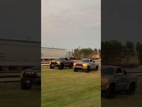 Baby raptor r