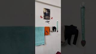 Afmc Pune Hostel Room Tour