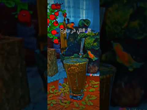 الفنان عزيز صادق حديد ياما رسمت رسمات