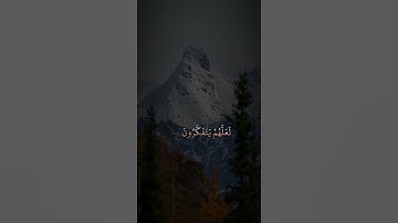 آيات من القرآن الكريم..