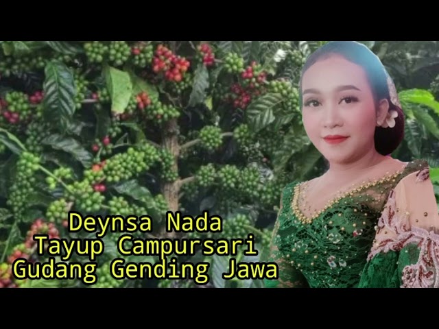 Deynsa Nada Campursari Tayup Gudang Gending Jawa Sesideman Gelang alit Pisang Bali Roro jonggrang class=