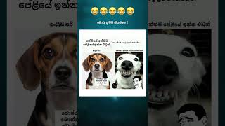 Sl Funny Short