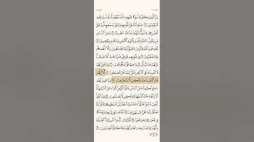 سورة البقرة القارئ الشيخ علي الحذيفي الصفحة ٣