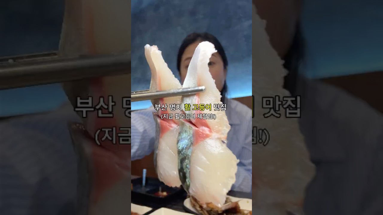 부산 명지 활고등어 맛집 지금 제철임 #맛집 #맛집추천 #부산 #부산맛집 #부산맛집추천 #명지 #명지맛집 #명지국제신도시 #명지국제신도시맛집 #고등어 #고등어회 #푸른등