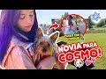 UNA NOVIA PARA COSMO!! PRIMERAS COMPRAS NAVIDEÑAS!! VLOGMAS 2 🎄03 Dic 2019 | Leyla Star 💫