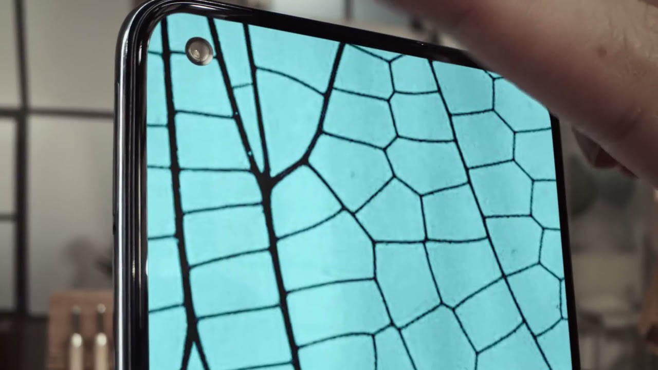 Oppo f19 official video