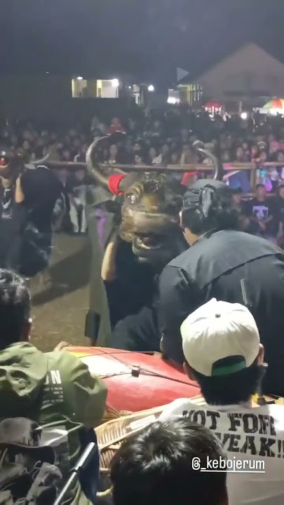 Bantengan Ngamok Ke Panjak Rojo Kebo Jerum