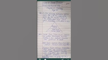 Class 8 social science chapter 5 Judiciary Page 64 Q3 In the following illustration fill ...........