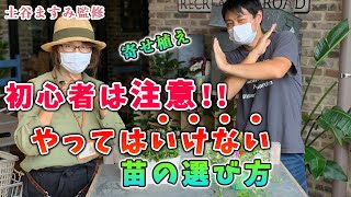 【 寄せ植え初心者必見 】寄せ植えで絶対やってはいけない苗の選び方