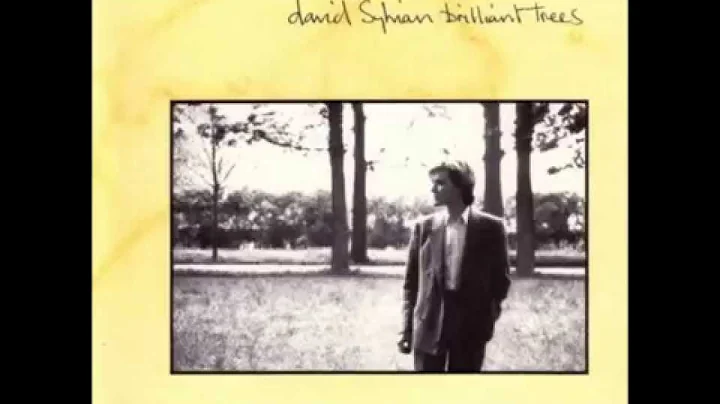 Brilliant Trees -  David Sylvian
