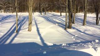 Eem1911 Neve Manna, Still A 1 Whistle Man After 2 Years