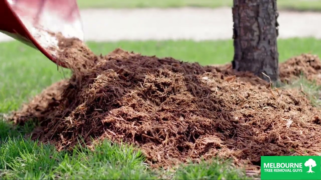 Best Tree Mulching Company in Narre Warren