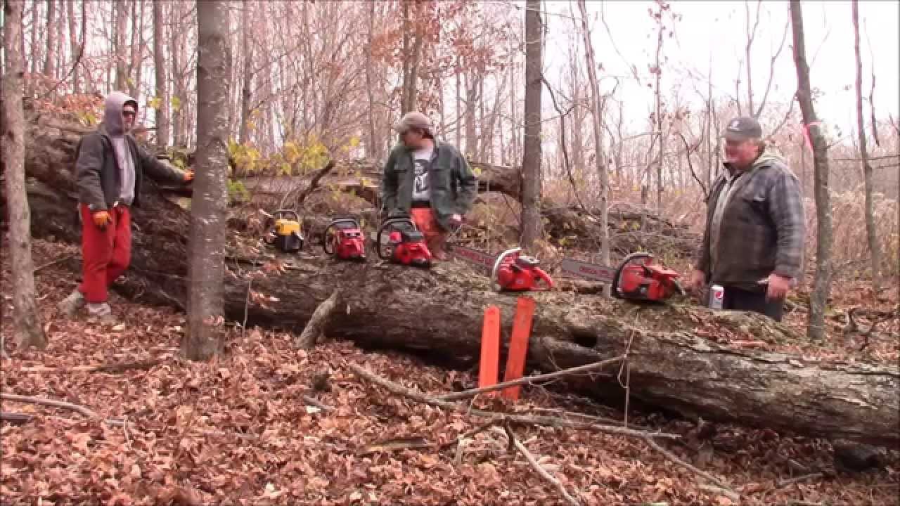 Vintage Saw GTG 2015. Jonsereds , Partners, Homelites and Other Vintage Saws at Work