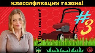 Классификация газона