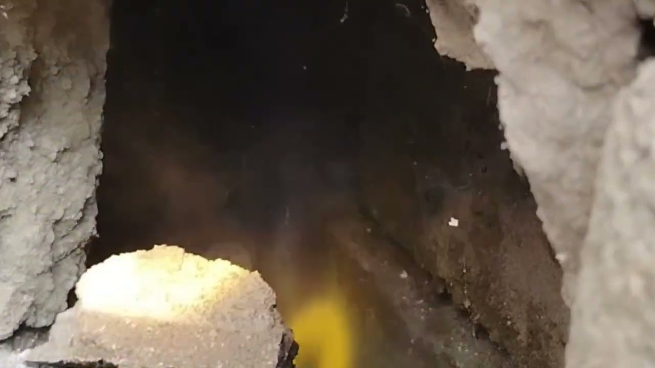 Isang pamilya ng COBRA nasilip sa ENDOSCOPE!!! 