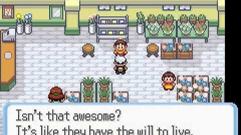 Pokemon Ruby Randomizer Nuzlocke Part 4