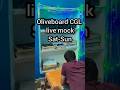 Oliveboard CGL Live mock test Sat-Sun #ssc #ssccgl2026