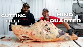 Cutting a BEEF  HIND QUARTER