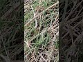 일요일 한림밭에 다녀왔습니다 ~^-^