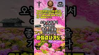 벅찬 미래와 희망을 주시는 하나님#아침기도/#감사기도/#기도/#하나님/#예수님/#교회/#새벽기도/#기독교/#성경/#은혜/#종교/#축복/#찬양/#찬송가/십자가/#말씀/#명언/#지혜